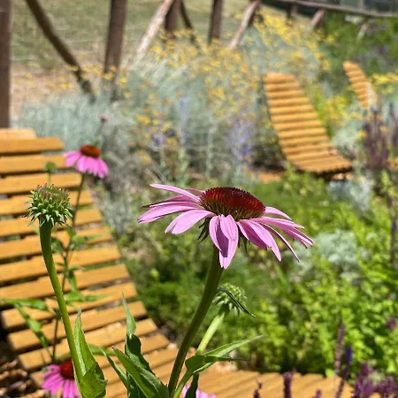 Felice_unesco Alps Area *